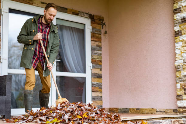 Best Trash Removal Near Me  in Lincoln, AR